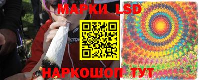 Альфа ПВП Обнинск
