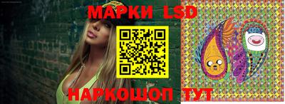 Альфа ПВП Обнинск