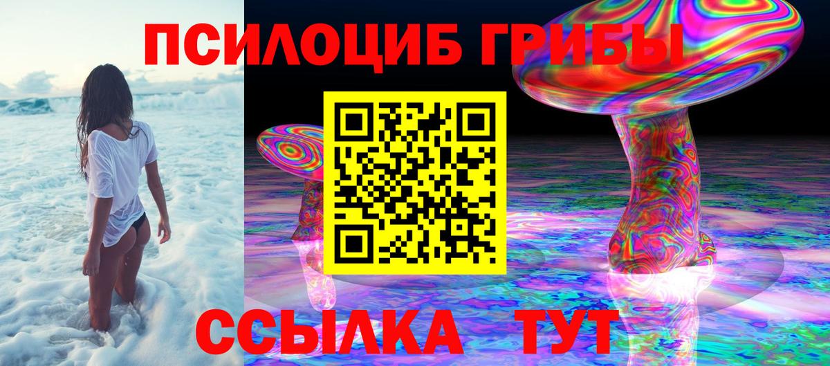 Новосибирск  где купить наркоту  Вход с VPN  Галлюциногенные грибы Psilocybine cubensis  Галлюциногенные грибы MAGIC MUSHROOMS 
